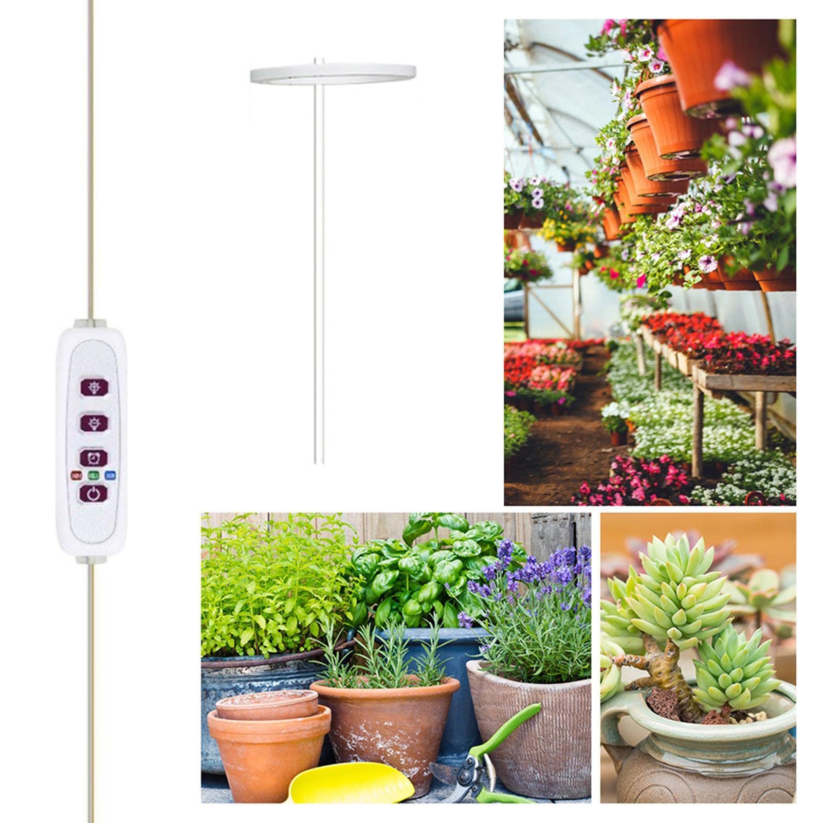 Amazon.co.jp: リンググロウライト - 屋内用フル スペクトラム